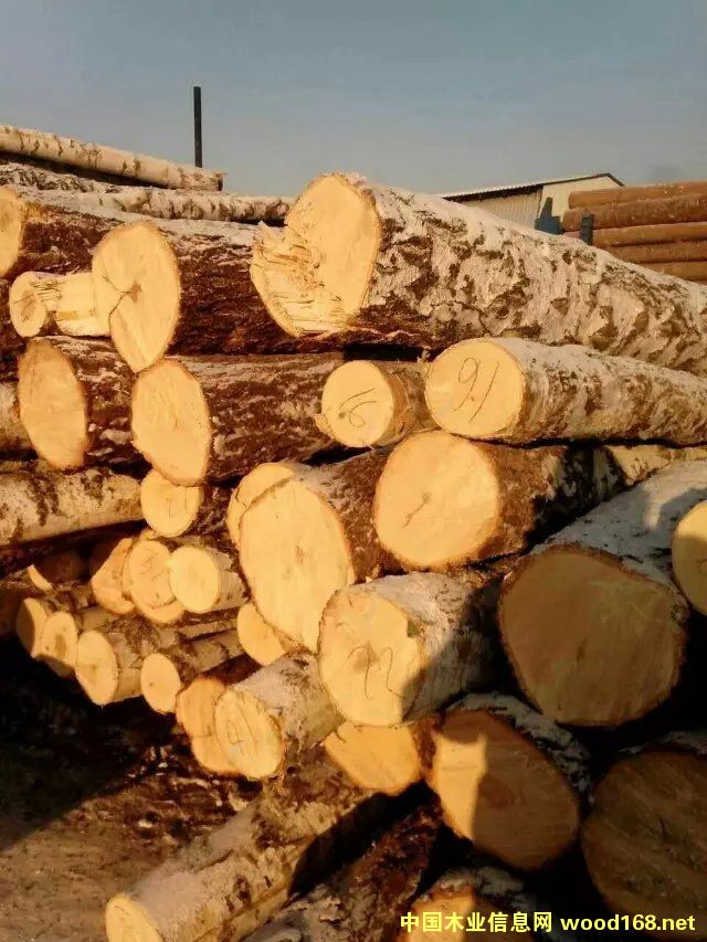 ���_˹��ľԭľ��Ԕ��(x��)��B