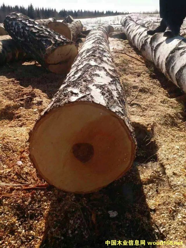 ��Ƥ�ט�ԭľ