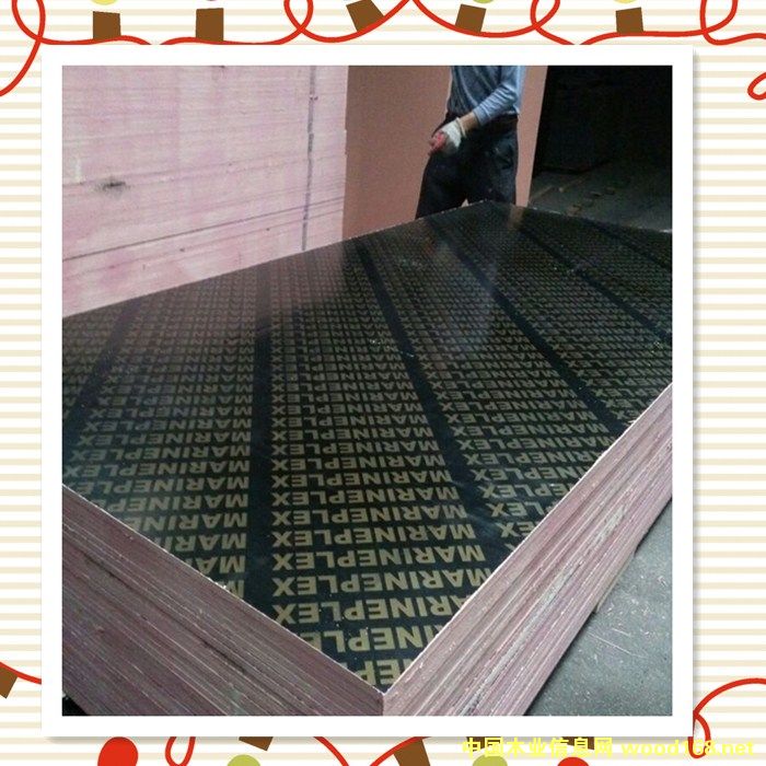 13mm����ģ�� Ĥ��