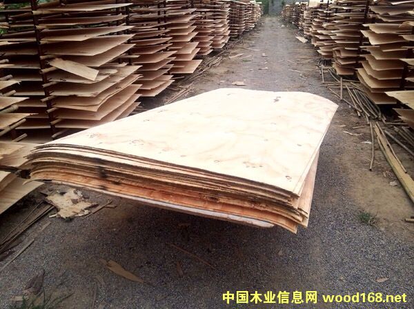 �L(zh��ng)�а����ΰ��Ԕ��(x��)��B