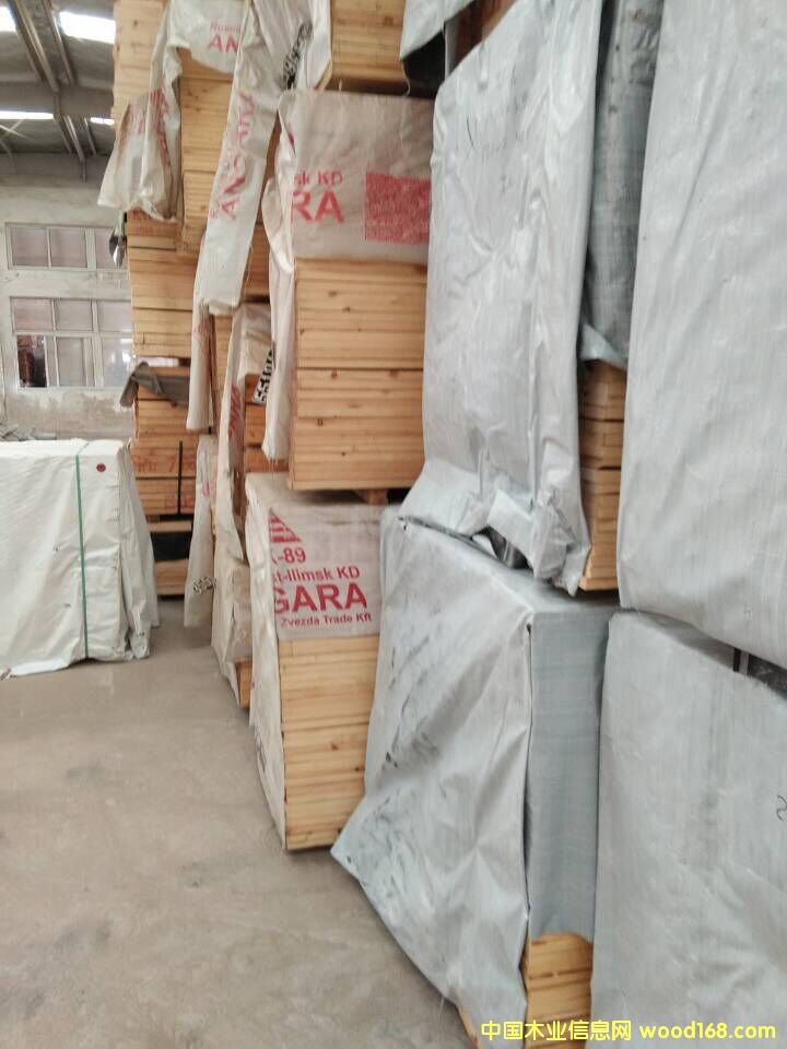 �M(j��n)����ľ