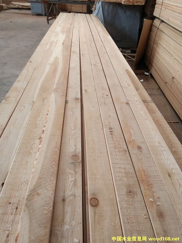 ���~��ľ��