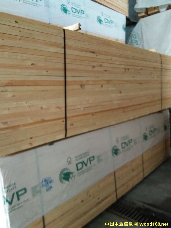 [��] �ӹ��Ҿߴ��塢�󱳰塢��ϰ��