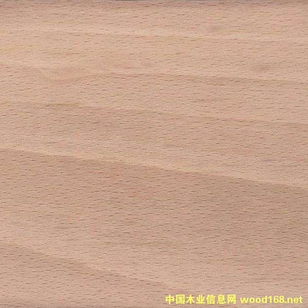 ��ľ��Ԕ����B