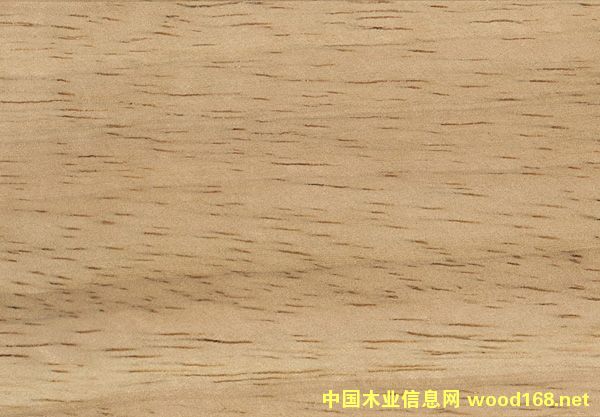 ̩�����zľ��Ԕ����B