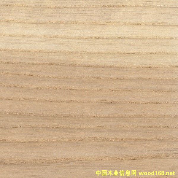 ��Ϟ��Ԕ����B