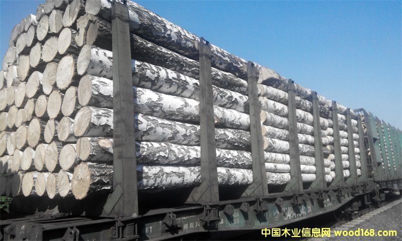 ����������ľ��Ԕ��(x��)��B