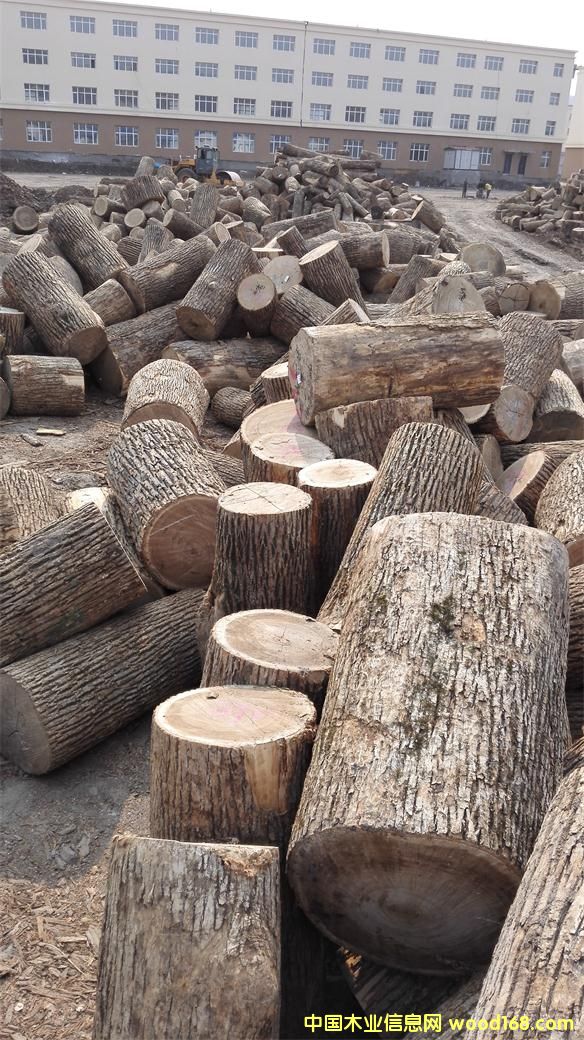 ˮ���������^��Ԕ��(x��)��B