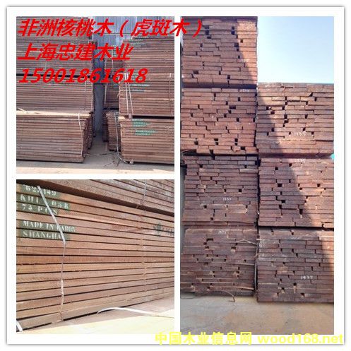 非洲胡桃木 非洲胡桃木