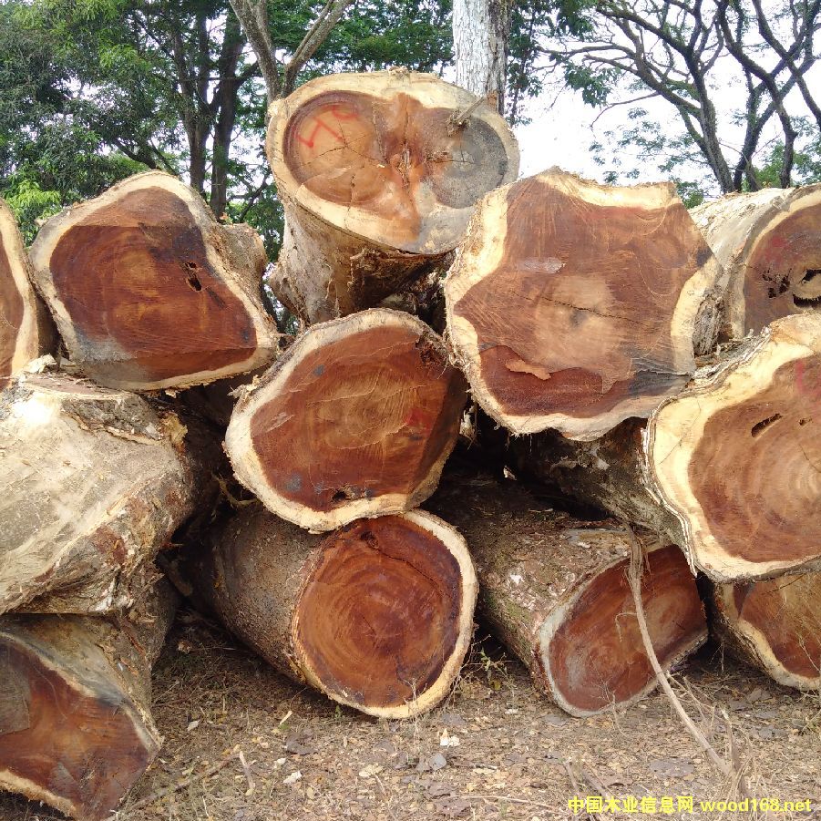 ��������ľ����ľ������ľ����Ԕ��(x��)��B