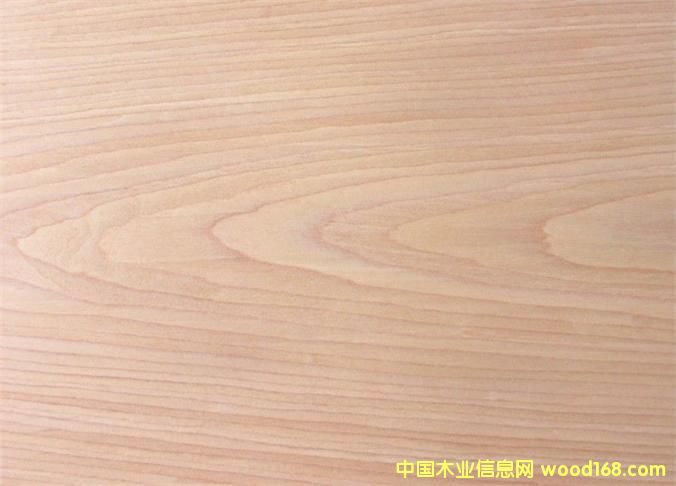 天然櫻桃貼面F 天然櫻桃貼面F