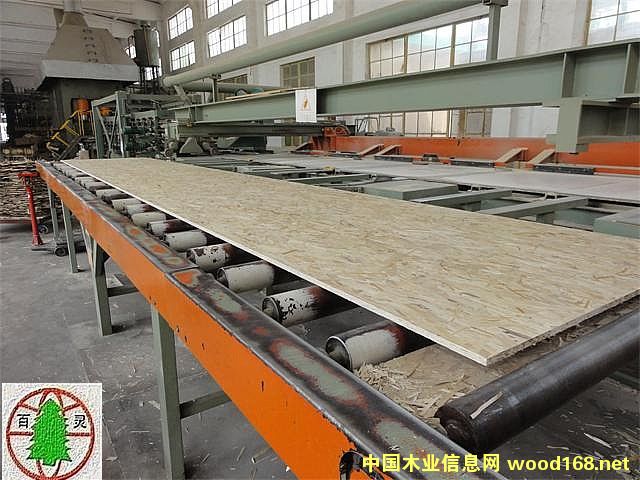 OSB�����ٻ��幤�S�O��