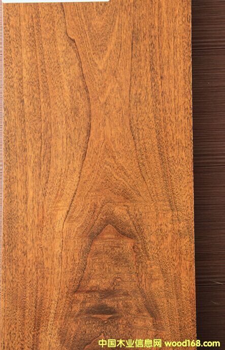 金絲楊優(yōu)化刨光板 金絲楊優(yōu)化刨光板