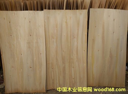 桉木單板 桉木單板
