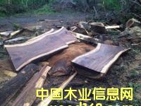 �S̴��Ԕ����B