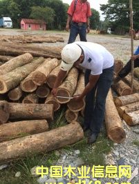 �S̴��Ԕ����B