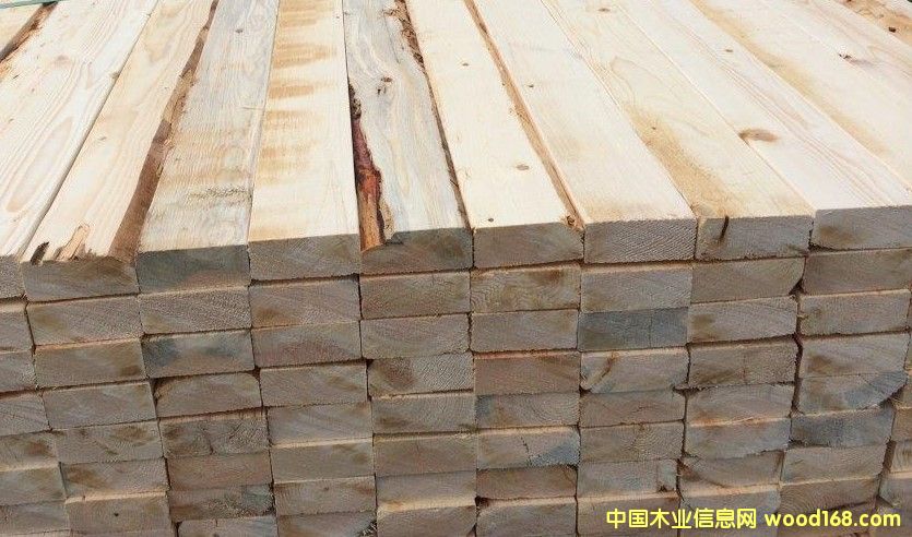 ����SPF��Ԕ����B