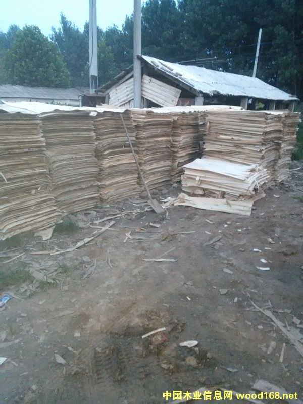 ��ľľƤ�ΰ�