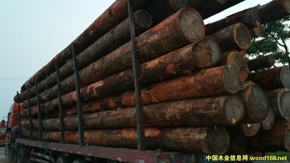 ľ���b܇��Ƭ