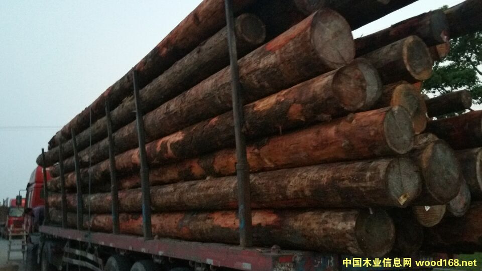 木材裝車照片 木材裝車照片