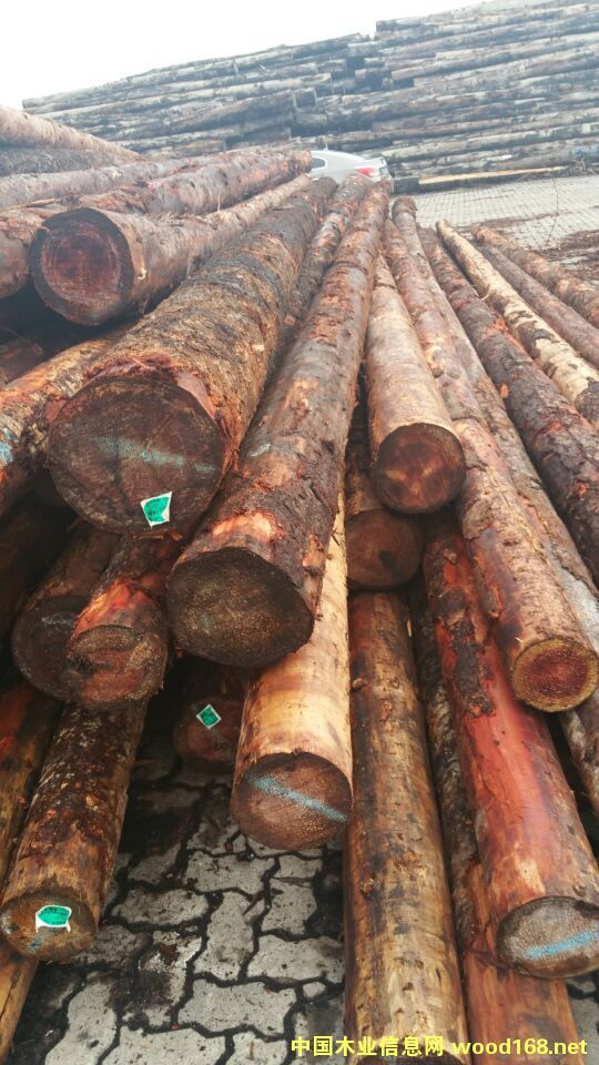 ���ô�����