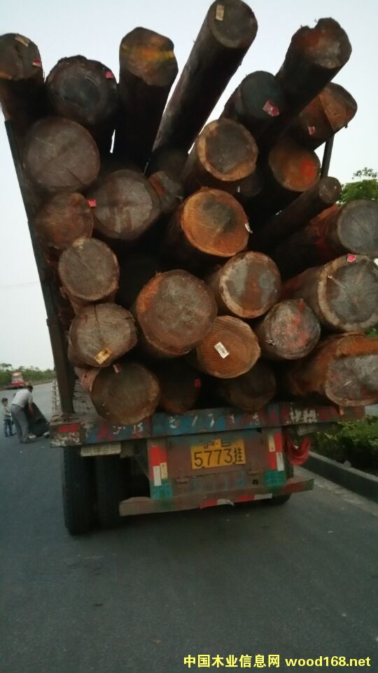 木材裝車照片 木材裝車照片