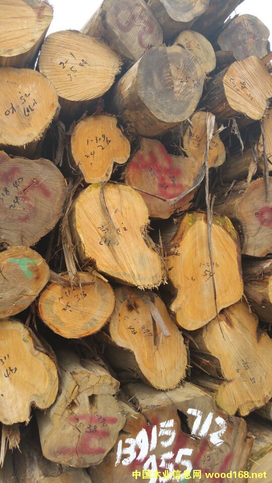 柏木原木 柏木原木