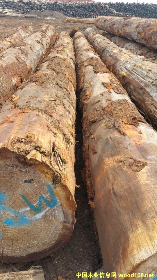 ���ô���