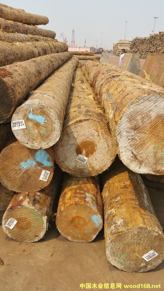 ����(gu��)�S��