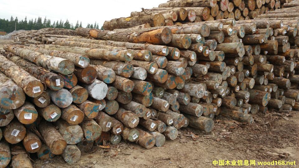 ����4�׼���