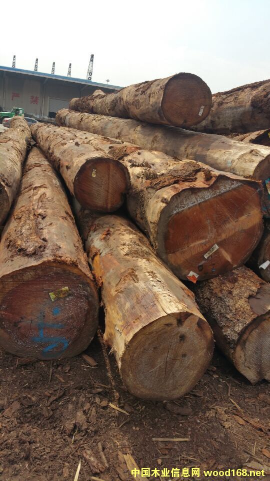 ���ô���