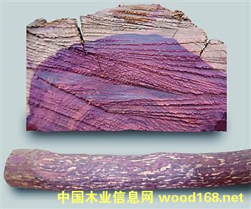 �������_�m��֦ �l�y׃�ßo�����y��������