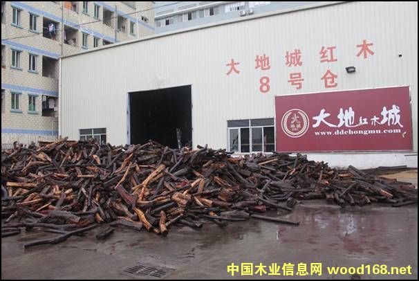 �����^���tľ�����Ј�