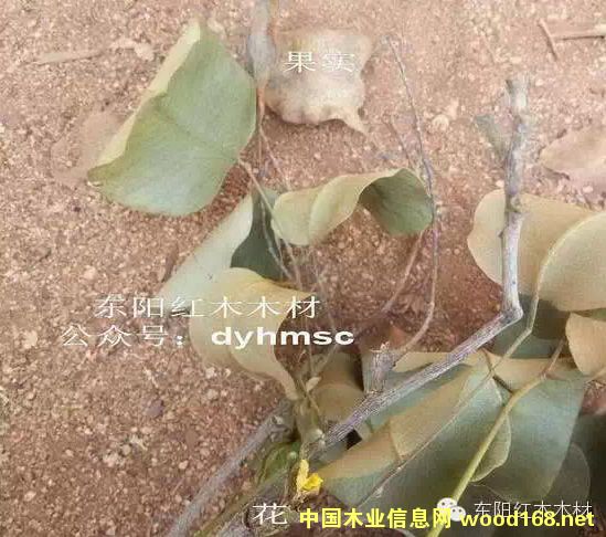 С�~��̴�N���������͘��~�DƬ