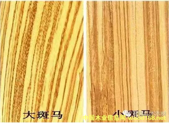 ����ľ�Ҿ��_ʼ���� ��(sh��)���С���Rľ