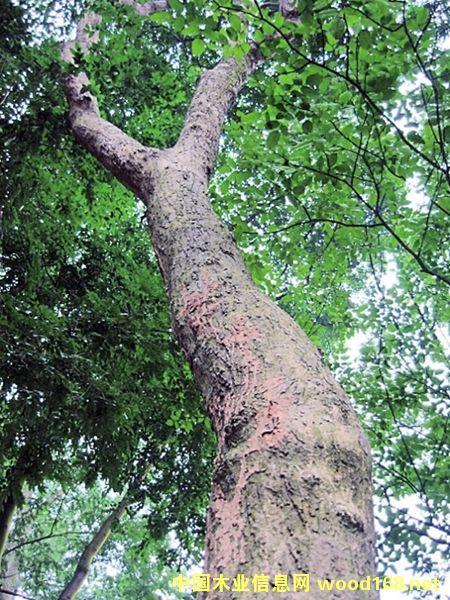 �����S������(sh��)