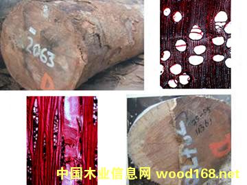 �з�Ϟ�Tľ�D�V