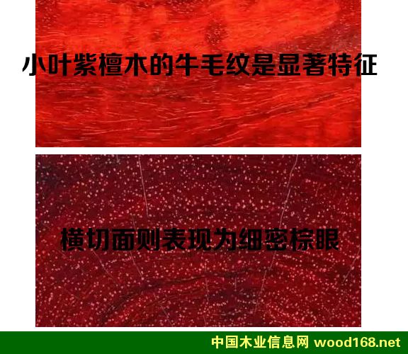 С�~��̴ľ��ţë�y����������