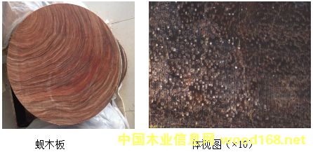 �V���Ĵ����FӲľ:��z����͘ľ����ľ���F��ľ