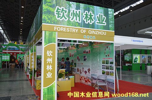 �J�ݽ��O���ľ�Įa�I(y��)�@�^(q��)�����F(xi��n)�a�I(y��)����