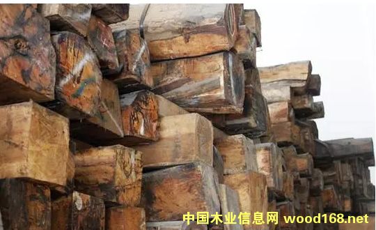 �tľ�Ј�(ch��ng)��ӭ��(l��i)һƬů�� �еͶ˼tľ�Ј�(ch��ng)���g�V�