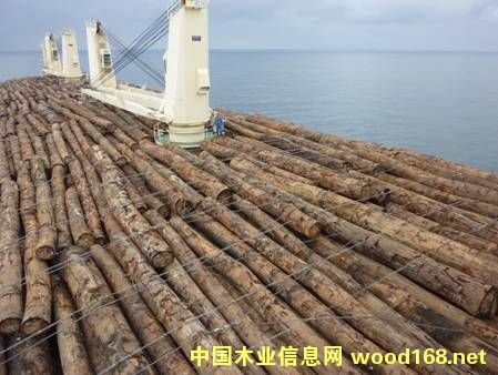 �����ĵ����p�����r����m(x��)�ϝq