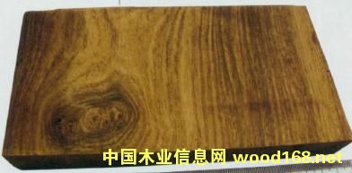 ������̴�����b�e