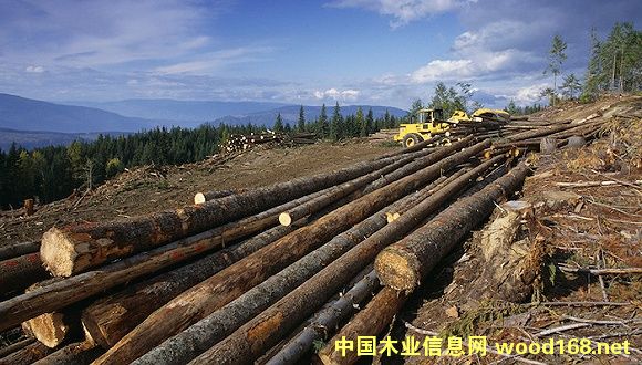 ����(gu��)���ںͼ��ô��ľ���Q(m��o)�ב�(zh��n)