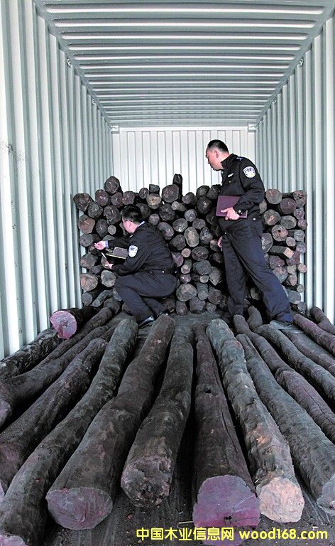 ���u���P(gu��n)�״β�@��˽�tľ С�~��̴��ֵ22�|Ԫ 