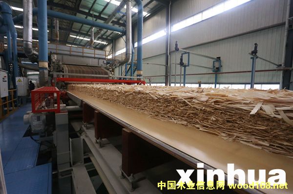 ���������²�COSB�ߏ�(qi��ng)�ȶ���Y(ji��)��(g��u)���(xi��ng)Ŀ���a(ch��n)��