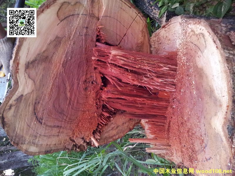 ��t��֦20���(n��i)�ѝq�ٱ���10���߀���ϝq30����