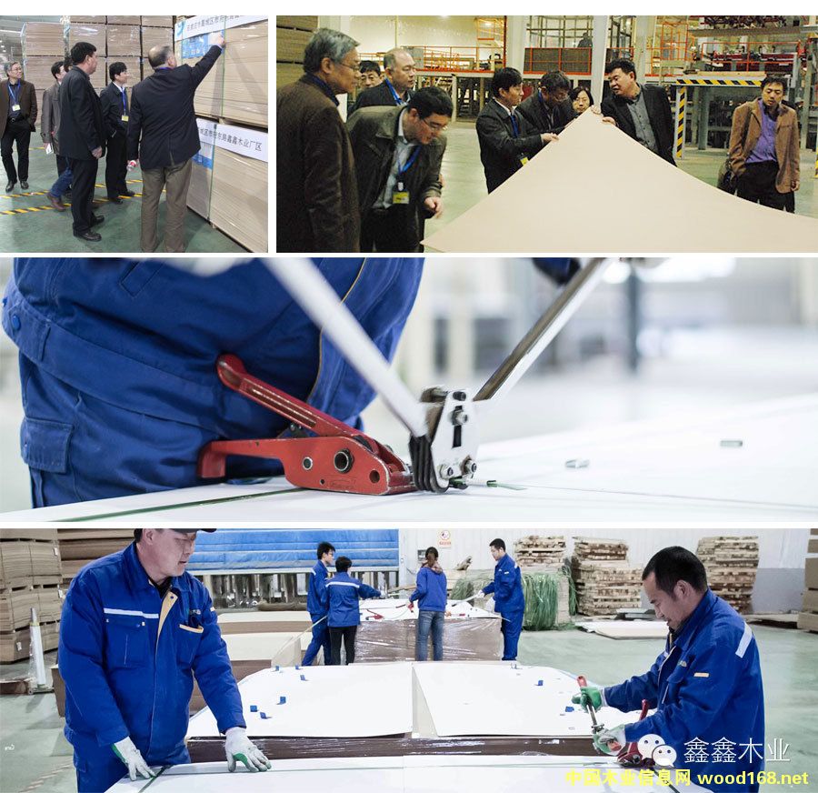 �ӱ�����ľ�I(y��)����ʿʷ������Steinemannɰ��C(j��)