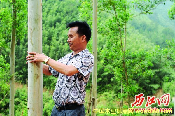 ��(chu��ng)�I(y��)���棺�V��ɭïľ�I(y��)�S�Ʒ��ľƵ���е����ϰ�