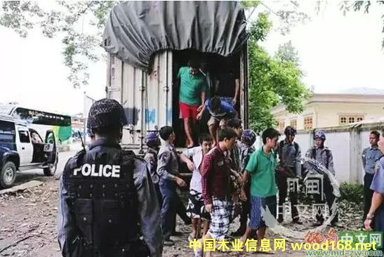 �����Ї���ľ���������I�˿И���^��w�C��׷